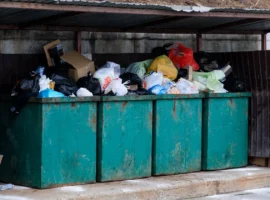 Уборка мусора во Владивостоке находится под контролем прокуратуры Приморья uborka musora vo vladivostoke nahoditsya pod kontrolem prokuratury primorya-tstpp-ru-0