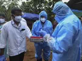 Вирус Нипах: меры в Западной Бенгалии и достижения вуза Сеченова virus nipah mery v zapadnoj bengalii i dostizheniya vuza sechenova-tstpp-ru-0