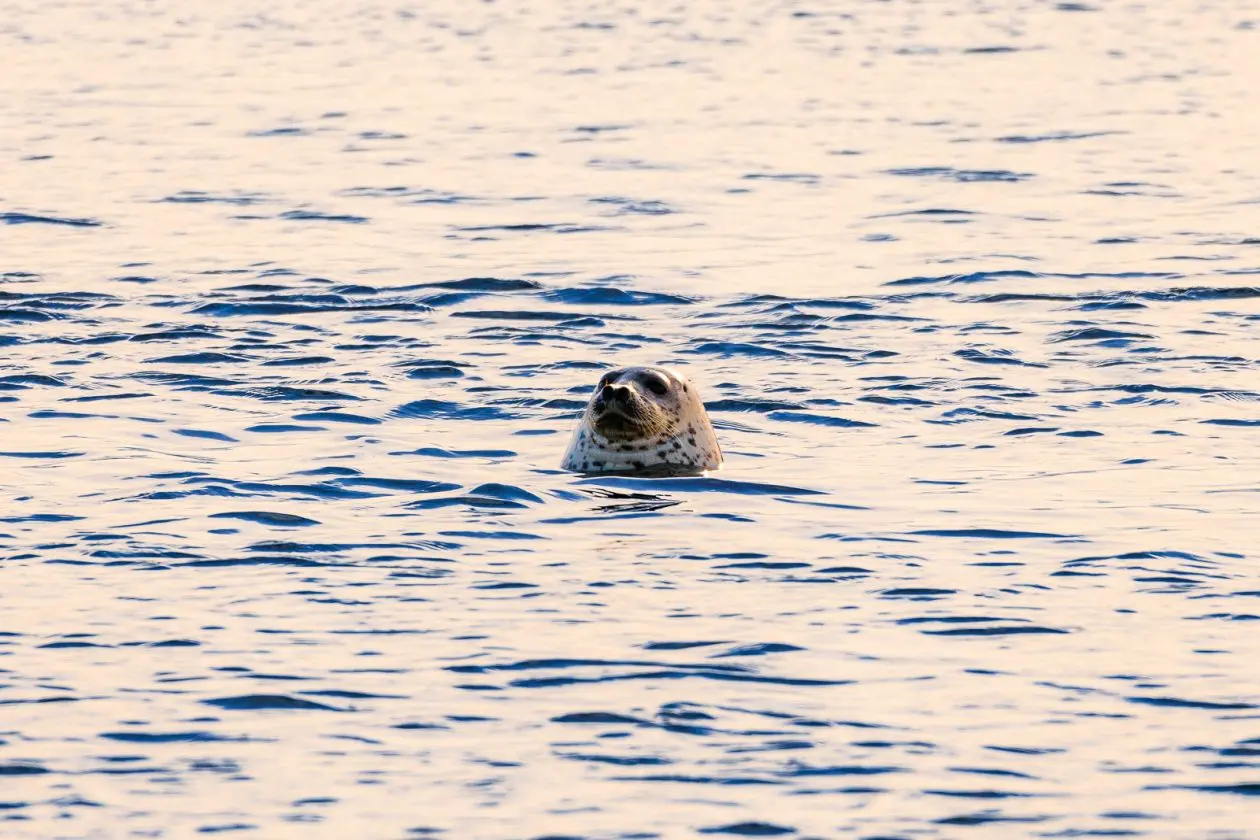 Фото: primamedia.ru