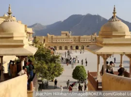 Зверев и Гинцбург рассказали об угрозе вируса Нипах из летучих лисиц zverev i ginczburg rasskazali ob ugroze virusa nipah iz letuchih lisicz-tstpp-ru-0