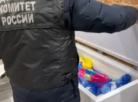 Андрей М. и AnabiosS — скандал с Александровской больницей andrej m i skandal s aleksandrovskoj bolniczej-tstpp-ru-0