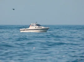 Артём Ащеулов обратился к Путину и Краснову из-за суда Владивостока artyom ashheulov obratilsya k putinu i krasnovu izza suda vladivostoka-tstpp-ru-0