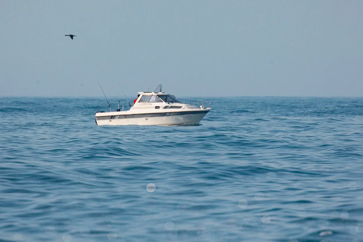 Фото: primamedia.ru