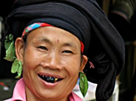 Чернение зубов в культуре Донгшон: танины и соли железа chernenie zubov v kulture dongshon taniny i soli zheleza-tstpp-ru-0