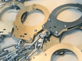 МВД России разоблачило банду автоподставщиков в Подмосковье mvd rossii razoblachilo bandu avtopodstavshhikov v podmoskove-tstpp-ru-0