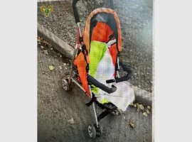 Прокуратура ЛНР и Московской области защищает детей от угроз prokuratura lnr i moskovskoj oblasti zashhishhaet detej ot ugroz-tstpp-ru-0