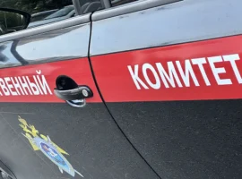 СК РФ выясняет обстоятельства инцидента со школьницей из Кодинска sk rf vyyasnyaet obstoyatelstva inczidenta so shkolniczej iz kodinska-tstpp-ru-0