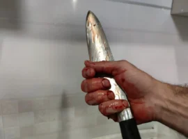 Следком и УМВД Приморья прояснили детали инцидента во Владивостоке sledkom i umvd primorya proyasnili detali inczidenta vo vladivostoke-tstpp-ru-0