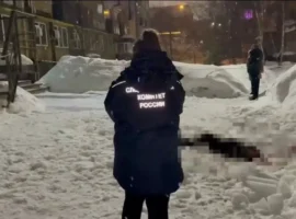 Следственный комитет расследует трагедию с наледью в Нижнем Новгороде sledstvennyj komitet rassleduet tragediyu s naledyu v nizhnem novgorode-tstpp-ru-0