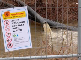 Трамп поддержал жителей Нью-Йорка и Мэриленда после ЧП на Потомаке tramp podderzhal zhitelej nyujorka i merilenda posle chp na potomake-tstpp-ru-0