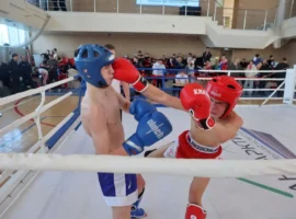 Триумф Приморского края в кикбоксинге – блистали Янчев и Бабаев triumf primorskogo kraya v kikboksinge blistali yanchev i babaev-tstpp-ru-0