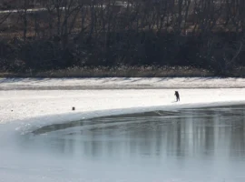 ГУ МЧС спасает жителей Владивостока от происшествий на льду gu mchs spasaet zhitelej vladivostoka ot proisshestvij na ldu-tstpp-ru-0