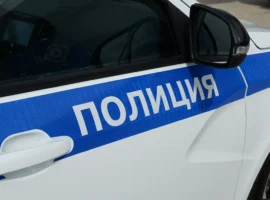 Хозяйку питбуля задержали за нападение собаки на мальчика hozyajku pitbulya zaderzhali za napadenie sobaki na malchika-tstpp-ru-0