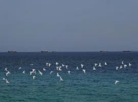 Brent и WTI обновляют максимум, а Maersk и США готовят новые решения i obnovlyayut maksimum a i ssha gotovyat novye resheniya-tstpp-ru-0