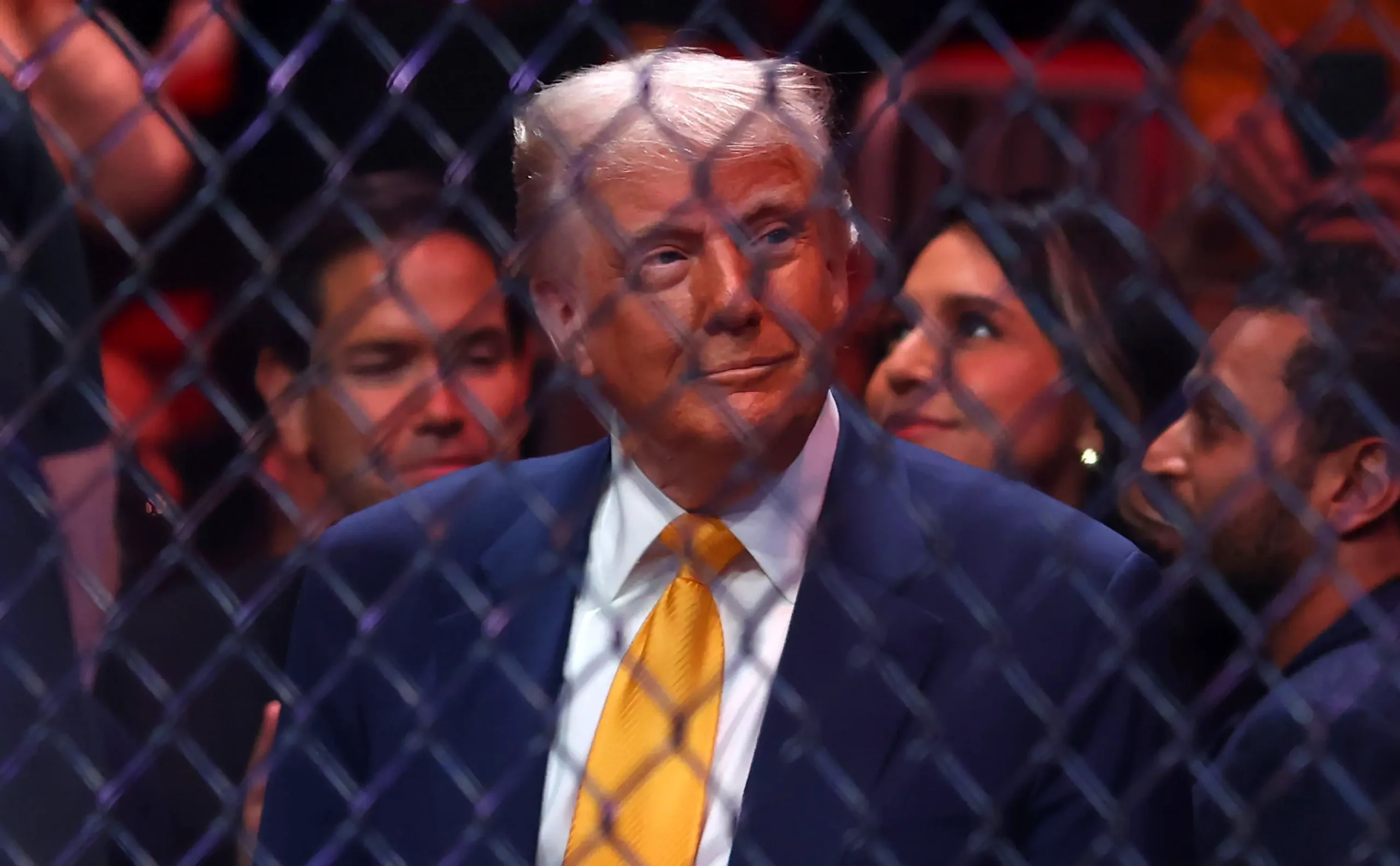 Дональд Трамп ( Megan Briggs / Getty Images)