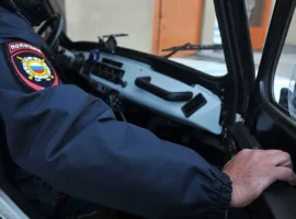 Лиза Алерт и МЧС ищут подростков на Волге в Ульяновске liza alert i mchs ishhut podrostkov na volge v ulyanovske-tstpp-ru-0