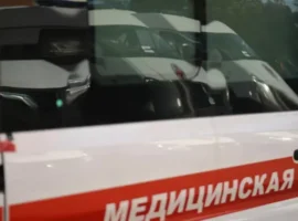 МЧС оперативно помогло в ДТП на трассе А370 в Приморском крае mchs operativno pomoglo v dtp na trasse a370 v primorskom krae-tstpp-ru-0