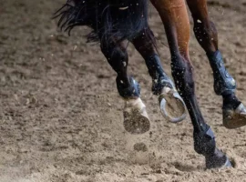 Мясо Smart Latch скандал в Мерсине под видом говядины myaso skandal v mersine pod vidom govyadiny-tstpp-ru-0