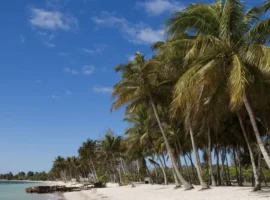 Россия и Куба укрепляют диалог и партнерство на благо стран rossiya i kuba ukreplyayut dialog i partnerstvo na blago stran-tstpp-ru-0