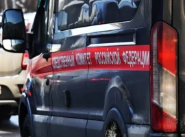 СКР расследует дистанционную манипуляцию подростком-поджигателем skr rassleduet distanczionnuyu manipulyacziyu podrostkompodzhigatelem-tstpp-ru-0