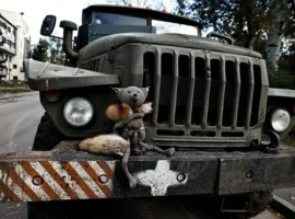 ВСУ несут колоссальные потери и теряют HIMARS в Сумской области vsu nesut kolossalnye poteri i teryayut v sumskoj oblasti-tstpp-ru-0