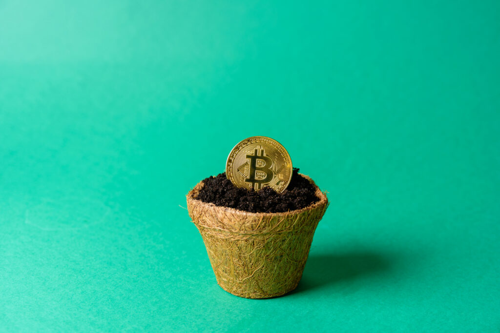 Биткоин в горшочке с землёй