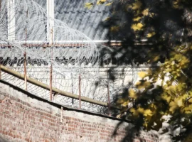 Дмитровский суд Московской области вынес решение по делу Дозорова dmitrovskij sud moskovskoj oblasti vynes reshenie po delu dozorova-tstpp-ru-0