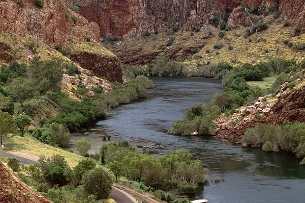 Вводная картинка