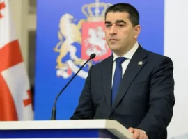 evrosoyuz podderzhivaet demokratiyu i mir v gruzii mnenie ekspertov-tstpp-ru-0