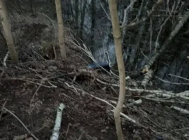 Прокуратура Москвы контролирует дело у Алтуфьевского шоссе prokuratura moskvy kontroliruet delo u altufevskogo shosse-tstpp-ru-0