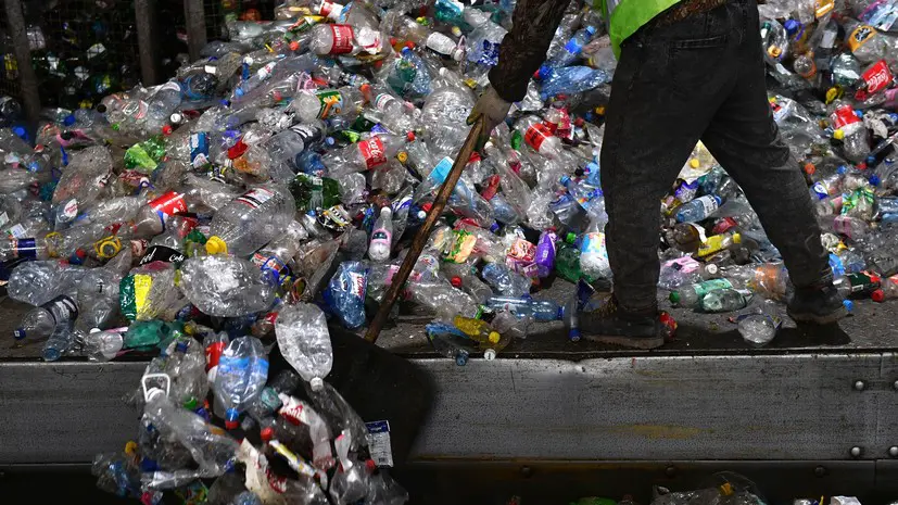 В Роскачестве предупредили, когда хранение мусора на участке считается нарушением