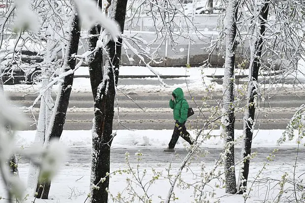 Вводная картинка