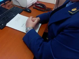Школьнице из Владивостока возместят ущерб по иску прокуратуры shkolnicze iz vladivostoka vozmestyat ushherb po isku prokuratury-tstpp-ru-0