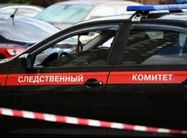 СКР и полиция СПб раскрыли крупную коррупционную схему skr i policziya spb raskryli krupnuyu korrupczionnuyu shemu-tstpp-ru-0
