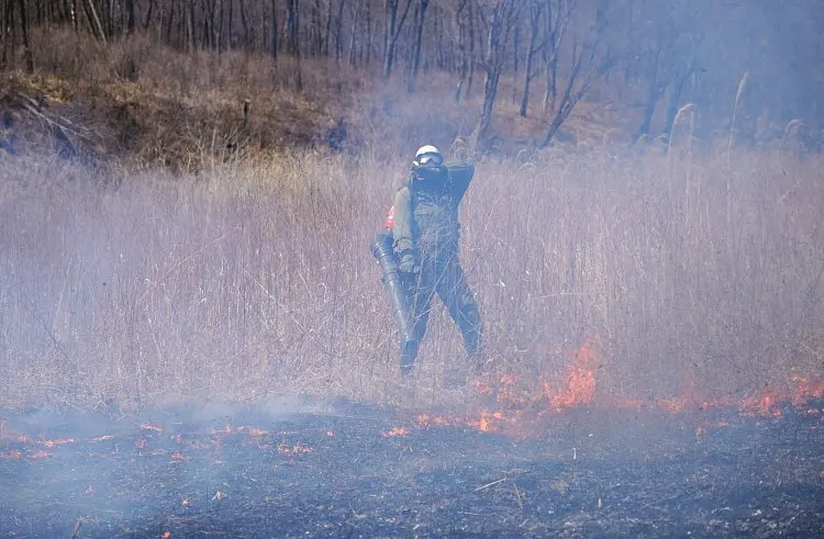 За сутки в Приморье потушили 16 пожаров, вызванных человеком Платон Волков (КГБУ &quotПриморская авиабаза&quot)