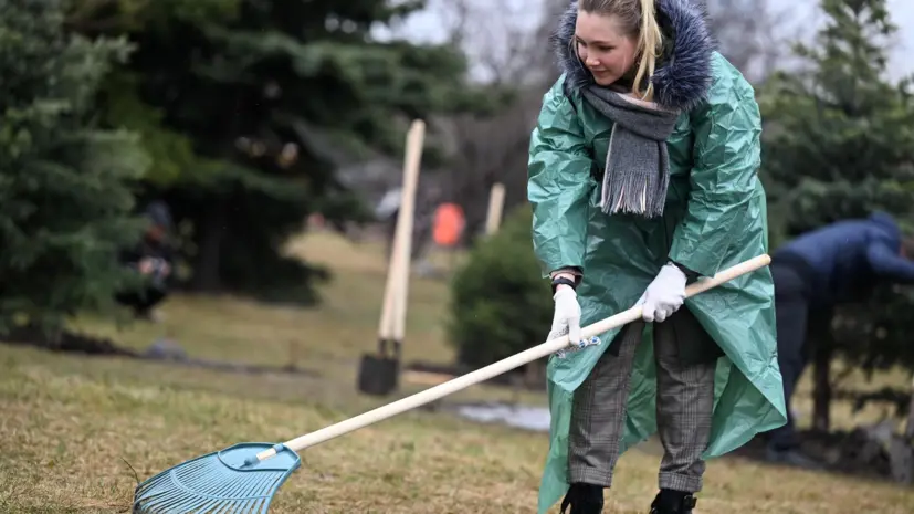 Специалист Воинова: за отказ от участия в субботнике не могут уволить