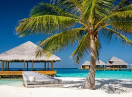 maldivy turcziya i egipet predlagayut turistam skidki i luchshee leto-tstpp-ru-0