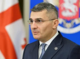 mdinaradze o kontrole situaczii sgb gruzii-tstpp-ru-0