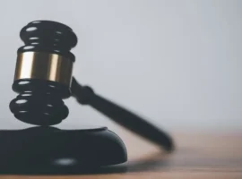 Мевлидинов: дело в вузе и суде Брянска mevlidinov delo v vuze i sude bryanska-tstpp-ru-0