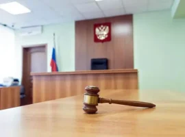Полина Костикова и дело РДК, запрещенного в РФ polina kostikova i delo rdk zapreshhennogo v rf-tstpp-ru-0