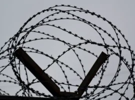 Прокуратура Приморья: экс-сотрудник ГАИ получил реальный срок prokuratura primorya ekssotrudnik gai poluchil realnyj srok-tstpp-ru-0