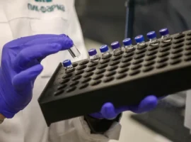 У берегов ЮАР на судне MV Hondius обнаружен вирус Андес u beregov yuar na sudne obnaruzhen virus andes-tstpp-ru-0