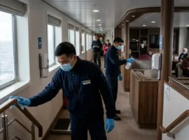 ВОЗ уверена: Хантавирус на судне Hondius стабилизируется voz uverena hantavirus na sudne stabiliziruetsya-tstpp-ru-0