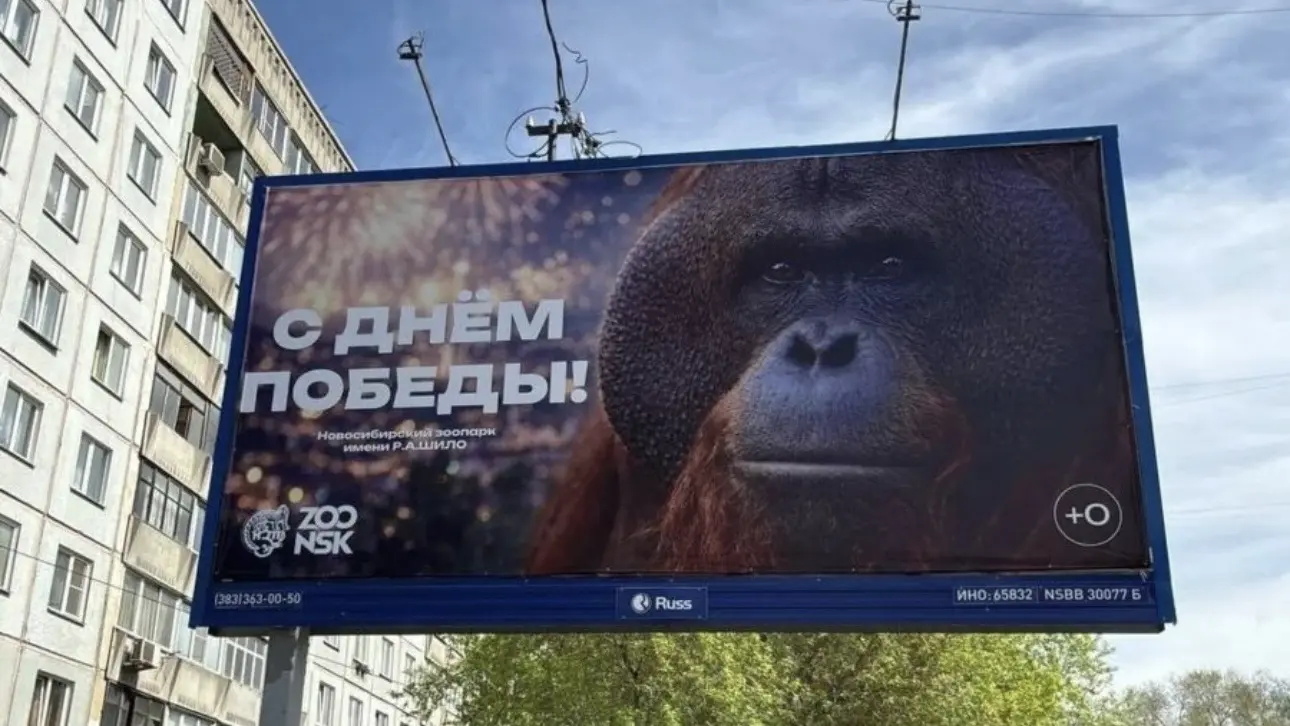 Новосибирский зоопарк поздравил горожан с Днем Победы баннером с орангутаном