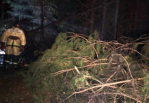 Опытный пилот санавиации стоял у истоков развития службы в Кировской области 6f264b40-d3a7-4de7-9a6a-8c4ff5b70078-67712051