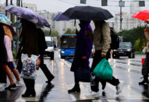 Комфортная погода с небольшими осадками порадует москвичей в последнее воскресенье октября 7e8f6ba8-52f7-414b-ac20-99f67333d4d1-6770fc83