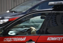 Следы инсектицида обнаружены на шерсти домашнего питомца семьи с пострадавшими детьми ca4ba9be-8a4d-4224-ab67-1622b68c1f8a-674b9ba8