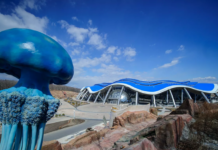 Океанариум возместит ущерб пострадавшему посетителю 5609d6f1-a692-4bcd-a177-01de265ce03e-678f649c