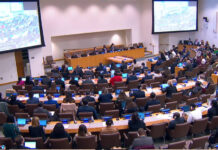 Генассамблея ООН поддержала инициативу по противодействию неонацизму 80377370-85eb-435a-9318-59f6329f08a0-67858d09