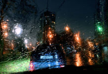 Ураган в Москве достиг максимальной силы e2a700b3-e91a-4413-8ab7-c0829057002f-67938946